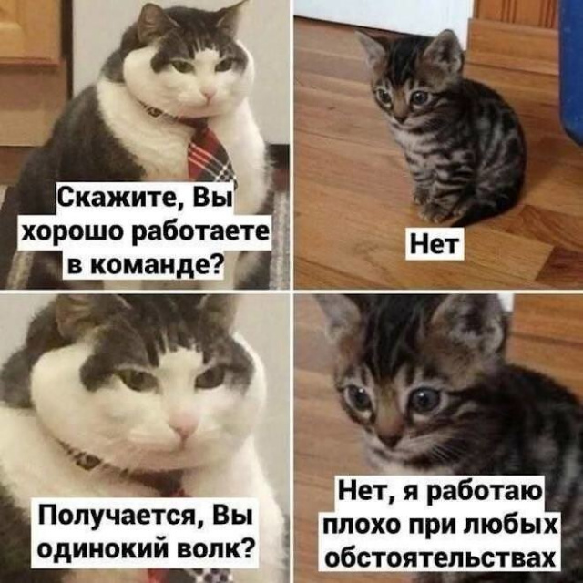 Юмор с просторов соцсетей
