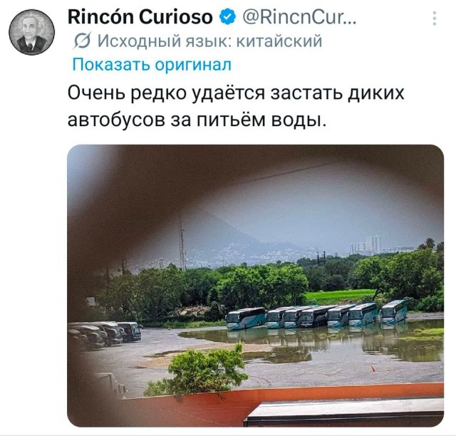 Подборка забавных твитов обо всем