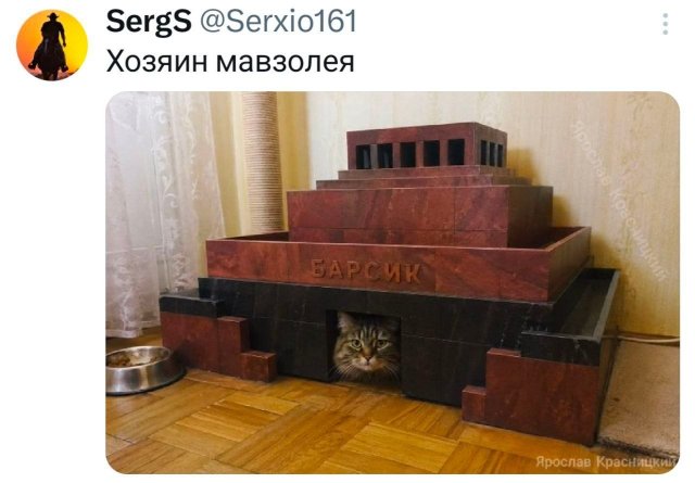 Подборка забавных твитов обо всем