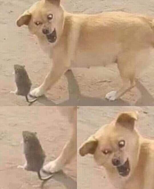 Врёшь, не уйдёшь!