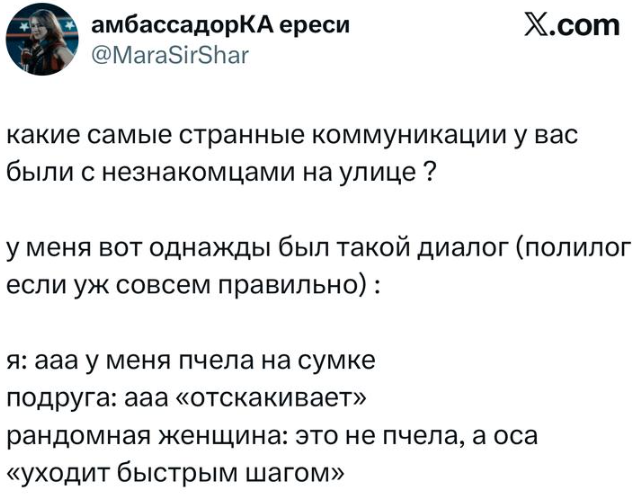 «Неловко, странно и очень смешно»: в X обсуждают диалоги с незнакомцами на улице