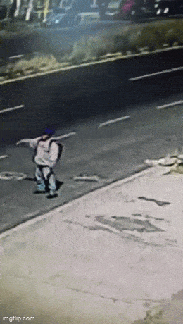 267745_16_trinixy_ru.gif