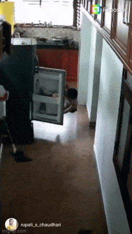 267745_6_trinixy_ru.gif