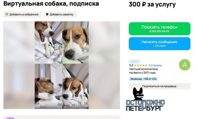“Схожу за вас в церковь” и виртуальные питомцы: в Петербурге нашли необычные способы подработки