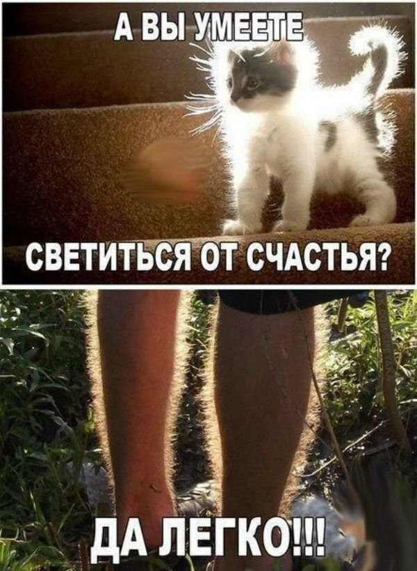 Юмор с просторов соцсетей