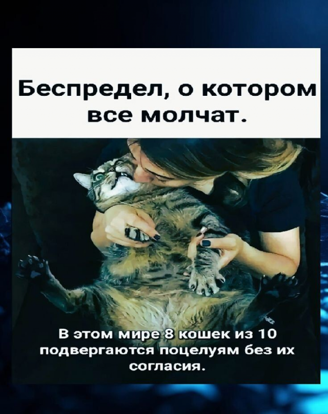 Юмор с просторов соцсетей