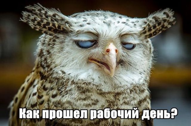 Трынделка - 14.05.2026