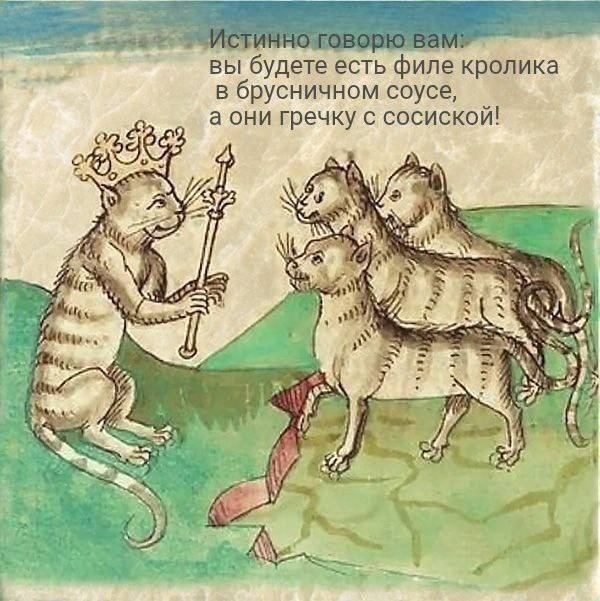 Лучшие шутки и мемы из Сети - 27.05.2026