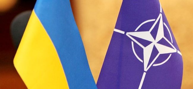 Украина и НАТО: выгодный союз или кабальная сделка?