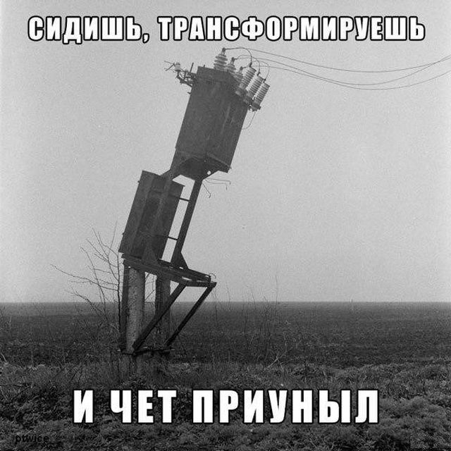 Картинки с забавными подписями (20 фото)