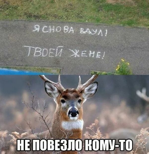 Подборка картинок (20 фото)