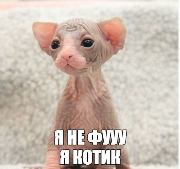 Подборка картинок (20 фото)
