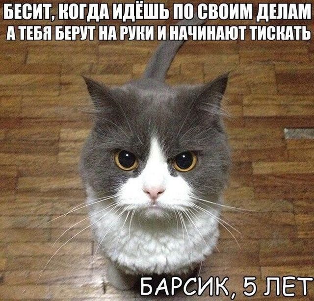 Подборка картинок (20 фото)