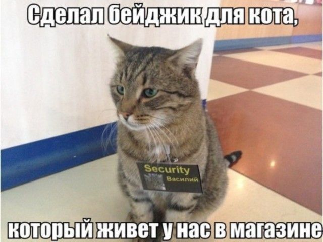 Подборка картинок (20 фото)