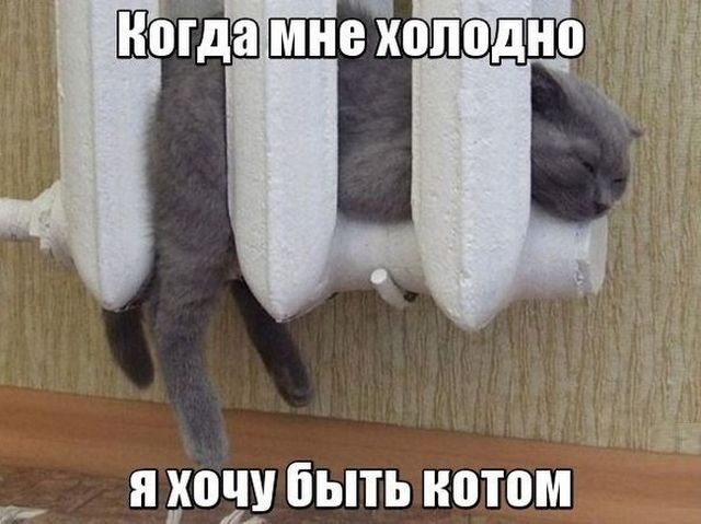Подборка картинок (20 фото)