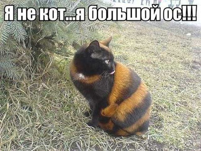 Подборка картинок (20 фото)