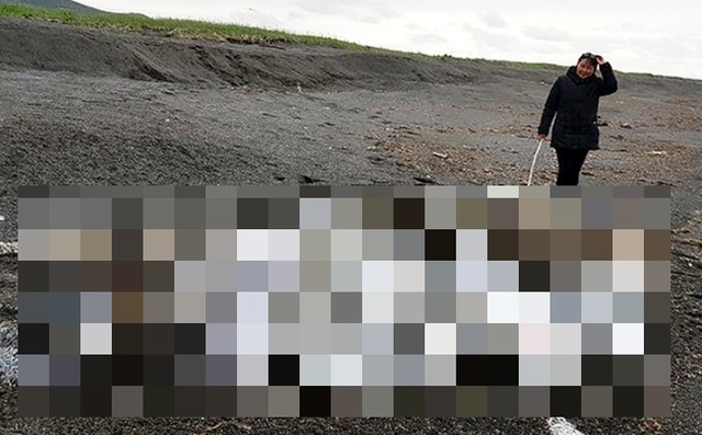 Останки неизвестного волосатого монстра выбросило на побережье Камчатки (5 фото + видео)