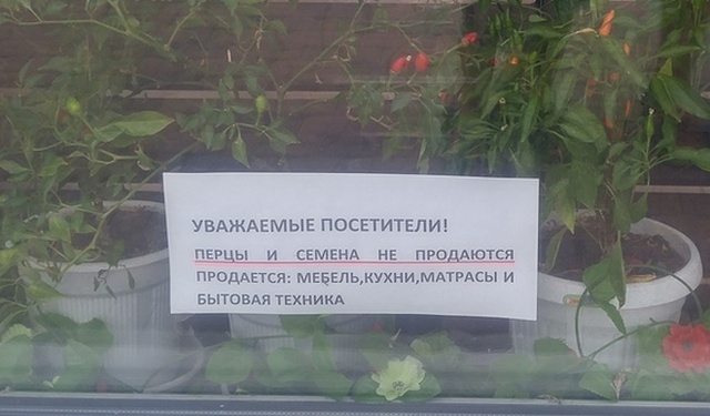 Подборка картинок (20 фото)