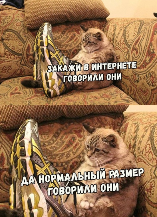 Подборка картинок (20 фото)