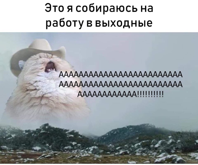 Подборка картинок (20 фото)