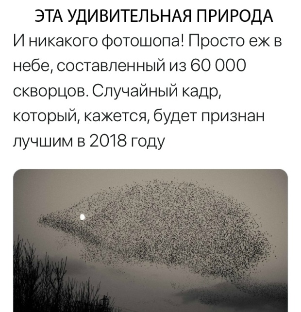 Подборка картинок (20 фото)