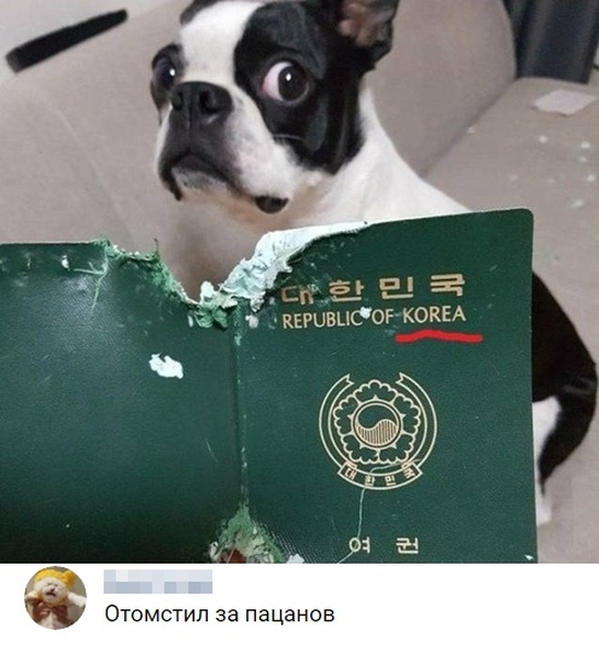 Подборка картинок (20 фото)