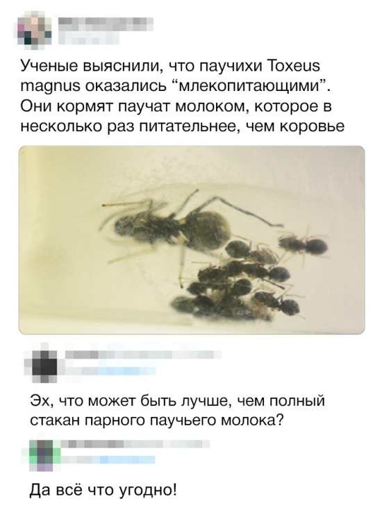 Подборка картинок (20 фото)