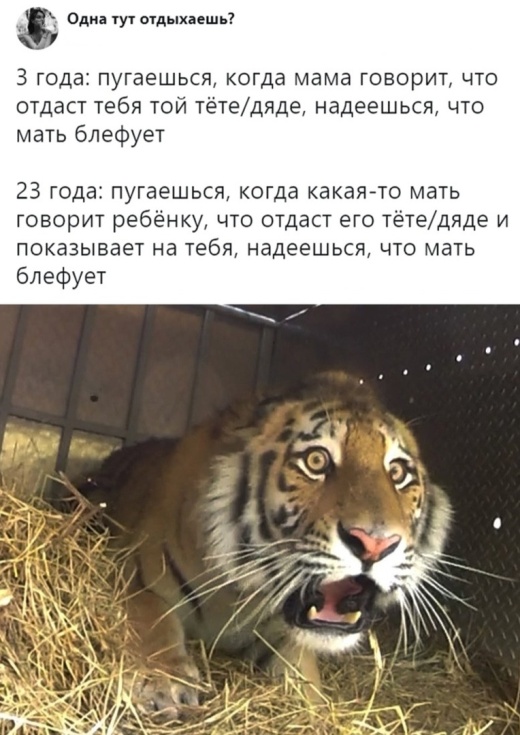 Подборка картинок (20 фото)