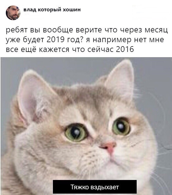 Подборка картинок (20 фото)