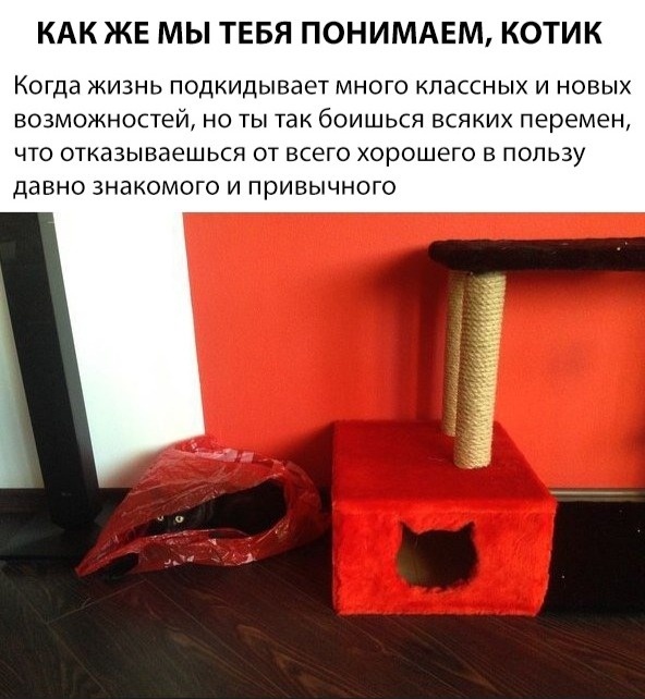 Подборка картинок (20 фото)