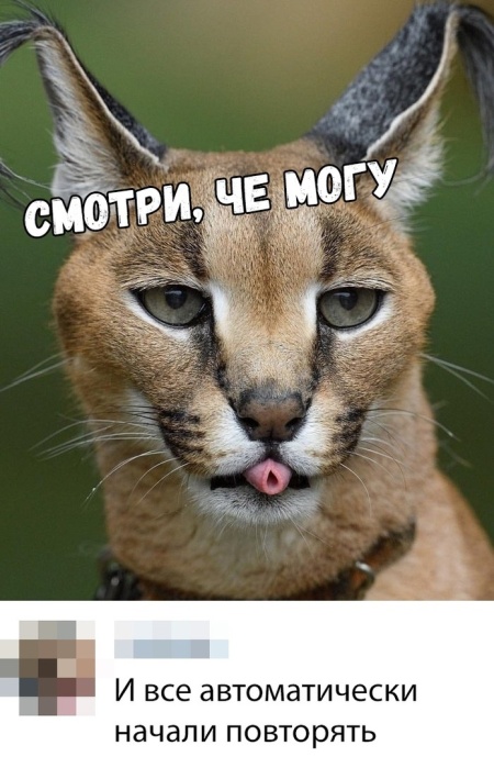 Подборка картинок (21 фото)