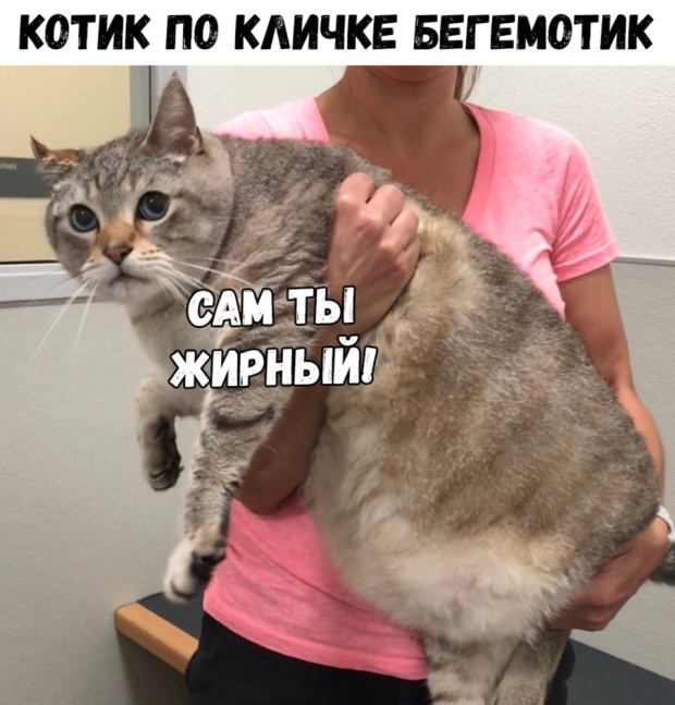 Подборка картинок (21 фото)