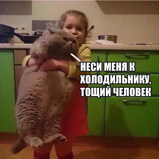 Подборка картинок (20 фото)
