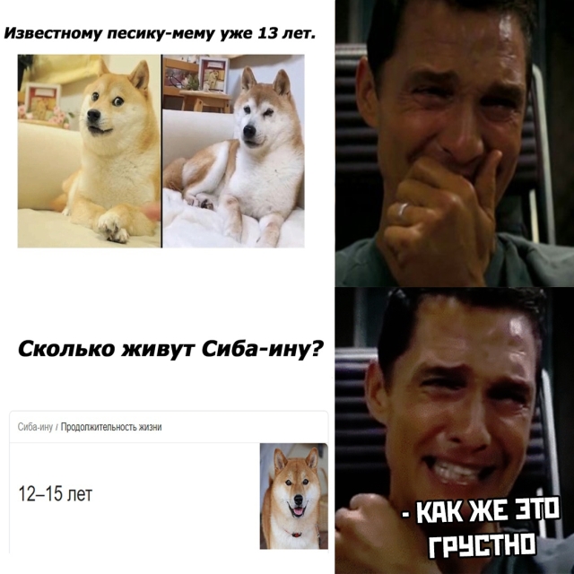 Подборка картинок (20 фото)