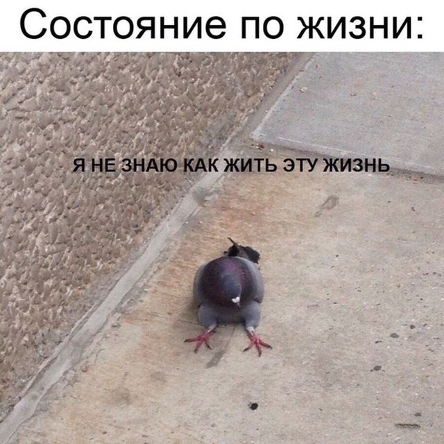 Подборка картинок (20 фото)