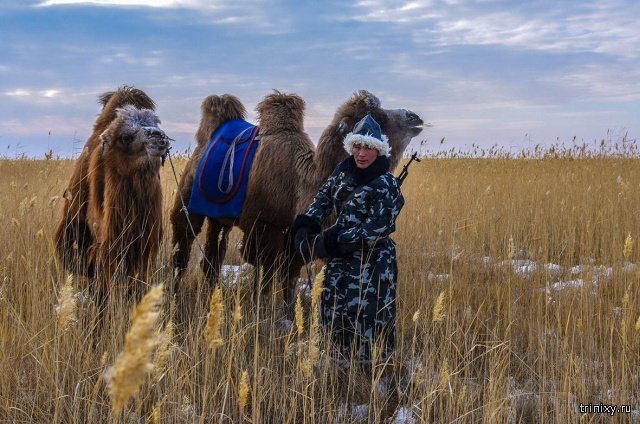 Будни монгольских пограничников на границе с Россией (14 фото)
