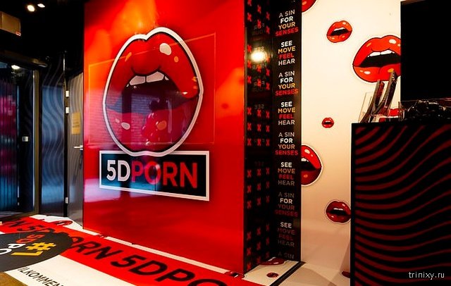 В Амстердаме открылся первый 5D-кинотеатр с фильмами для взрослых (7 фото)