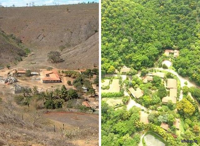 Супруги высадили более 2 миллионов деревьев, превратив пустошь в тропический рай (9 фото)