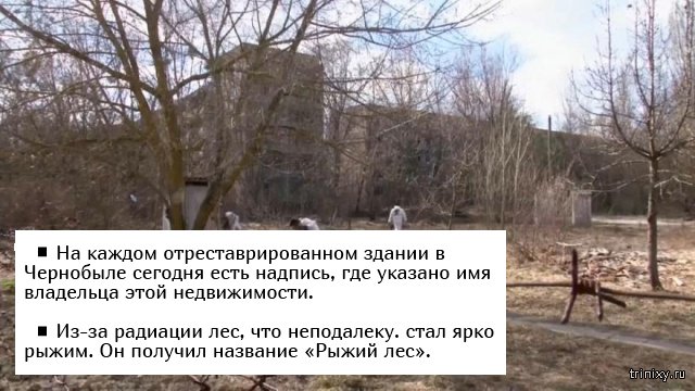 Факты о Чернобыльской катастрофе (5 фото)