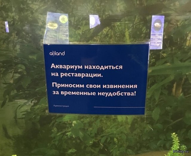 Ошибки, которые безумно бесят (20 фото)