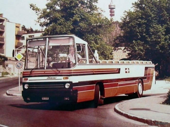 Экспериментальные и редкие модели автобусов Ikarus (10 фото)