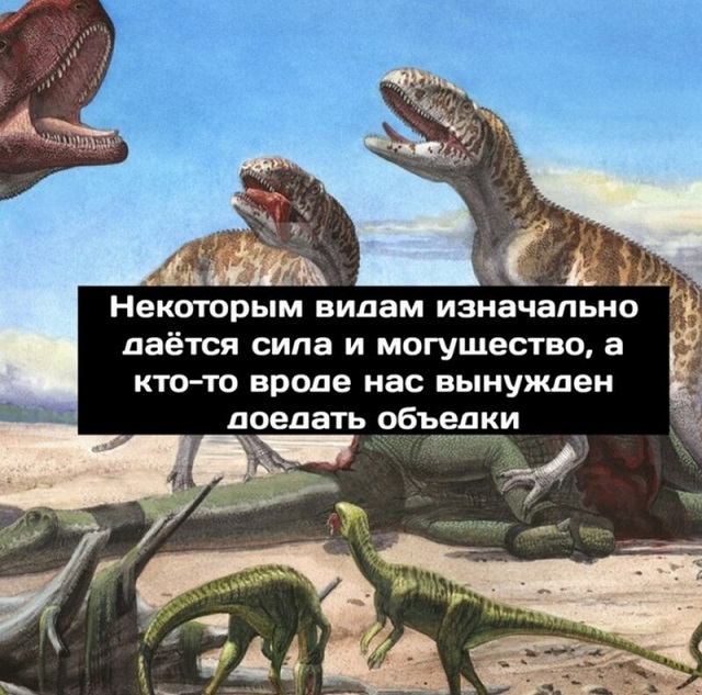 Минутка размышлений о приспособляемости видов от динозавров (9 картинок)