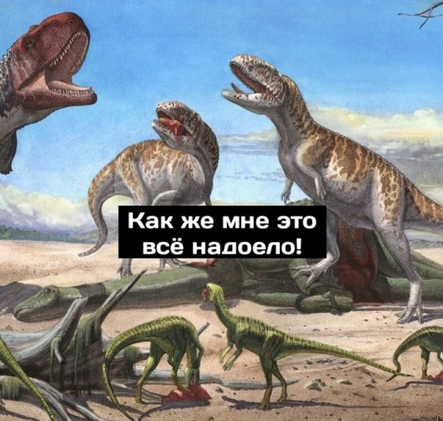 Минутка размышлений о приспособляемости видов от динозавров (9 картинок)