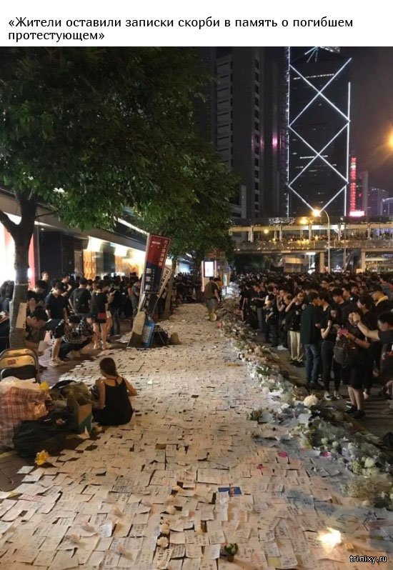 Дисциплина и уважение: удивительные факты о протестах в Гонконге (15 фото)