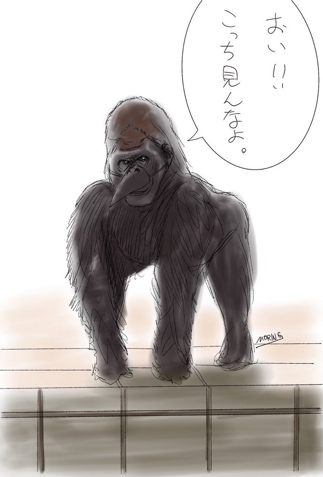 "Ворона-горилла" - новый странный мем из Японии (8 картинок + видео)