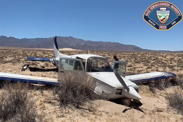 Аварийная посадка самолета от первого лица (2 фото + видео)