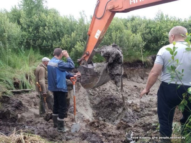 В Брестской области найден советский бомбардировщик (11 фото)