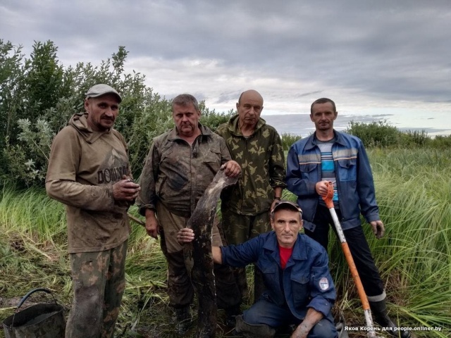 В Брестской области найден советский бомбардировщик (11 фото)