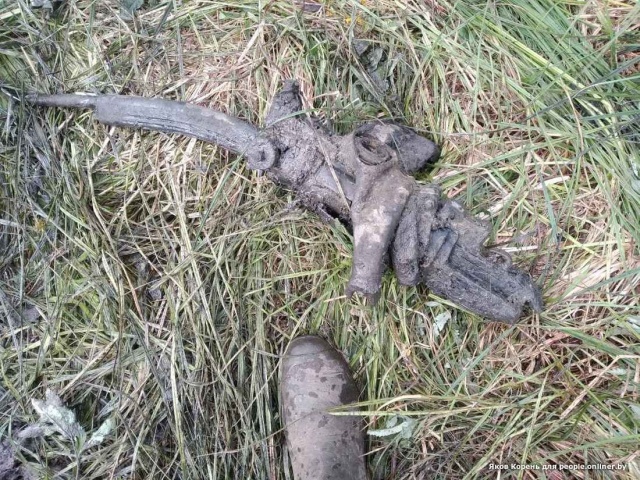 В Брестской области найден советский бомбардировщик (11 фото)