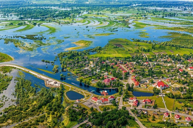 Красоты белорусского Полесья с высоты птичьего полета (13 фото)